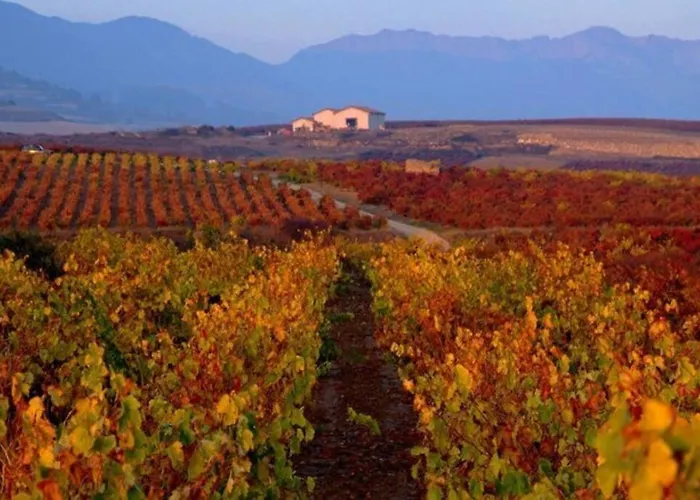 Apartment Rural Harria *