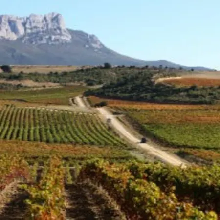 Rural Harria Apartmán *